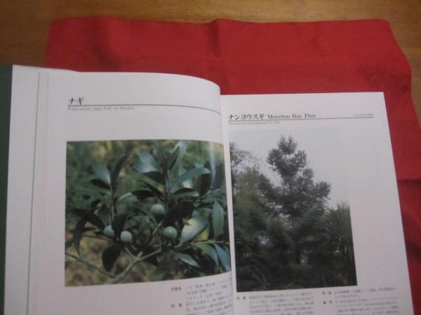 ☆図鑑 琉球列島有用樹木誌 天野 哲夫 著 澤岻 安喜 写真 限定2000