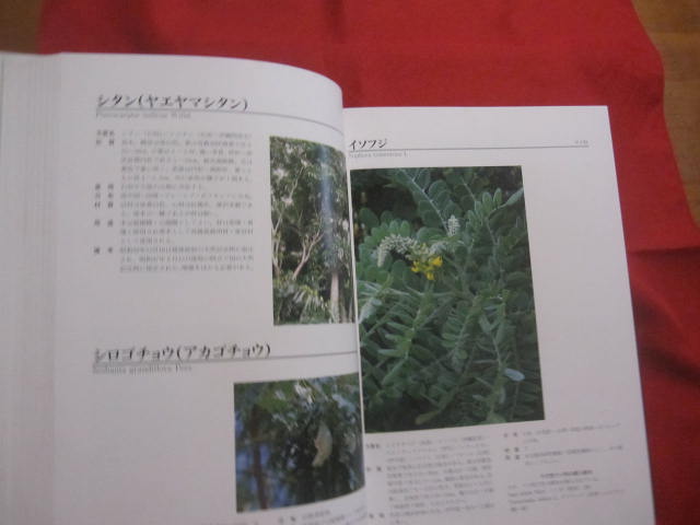 図鑑 琉球列島有用樹木誌 図鑑 琉球列島有用樹木誌(天野鉄夫) / 松野書店 / 古本、中古本、古