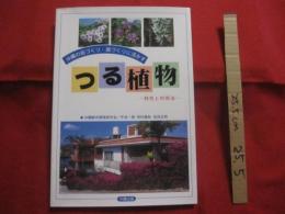 沖縄の街づくり　・　庭づくりに活かす 　つる植物 　　―　特性と利用法　―　　　　 【沖縄・琉球・自然・ガーデニング】