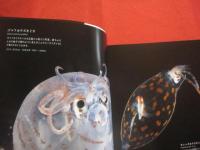 深海世界  　　　Ｄｅｐｔｈ  　ｏｆ  　Ｂｅａｕｔｙ　  ： 　 Ｌｉｆｅ  　ｂｅｎｅａｔｈ  　ｔｈｅ  　ｓｅａ　　    【生物・写真集】