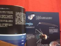 深海世界  　　　Ｄｅｐｔｈ  　ｏｆ  　Ｂｅａｕｔｙ　  ： 　 Ｌｉｆｅ  　ｂｅｎｅａｔｈ  　ｔｈｅ  　ｓｅａ　　    【生物・写真集】