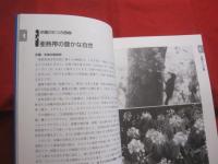 沖縄をどう教えるか　　　　編者　『 沖縄をどう教えるか 』  編集委員会　　　　株式会社  解放出版社　発行　　　　　　【沖縄・琉球・歴史・文化】