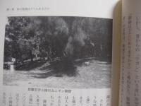 トートーメーの民俗学講座    　　沖縄の門中と位牌祭祀　　       【沖縄・琉球・歴史・文化・信仰・祖先崇拝】