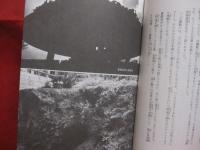 ☆いま沖縄をかんがえる　　　　　戦跡と基地の島　　　　　　　　 【沖縄・琉球・歴史・太平洋戦争・沖縄戦・学習】
