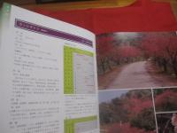 カラー版    　　沖縄の樹木   　　 庭から公園までの緑化植物集　　     　新星図書出版(株) 　発行   　　　　    【沖縄・琉球・植物・花木・自然】