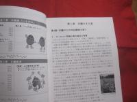 平成甘藷考   　　　 ―　 野國總管を中心に　 ―   　　　　 【沖縄・琉球・歴史・文化・農業】