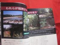 沖縄の聖地　　    拝所と御願   　　 開びゃくの七御嶽　・　東御廻り　・　今帰仁上り　・　御新下り    　　         【沖縄・琉球・歴史・文化・御願・ウグヮン・うぐゎん・うがん・信仰】
