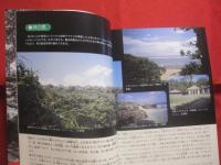 沖縄の聖地　　    拝所と御願   　　 開びゃくの七御嶽　・　東御廻り　・　今帰仁上り　・　御新下り    　　         【沖縄・琉球・歴史・文化・御願・ウグヮン・うぐゎん・うがん・信仰】