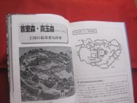 沖縄の聖地　　    拝所と御願   　　 開びゃくの七御嶽　・　東御廻り　・　今帰仁上り　・　御新下り    　　         【沖縄・琉球・歴史・文化・御願・ウグヮン・うぐゎん・うがん・信仰】