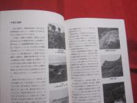 ☆城 （ グスク ）    ―  城に語らせたい地域の歴史  ―           【沖縄・琉球・歴史・文化・遺跡】