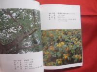 沖縄教材植物図鑑 　    ―　 路傍の草木　 ―  　     　    【沖縄・琉球・自然・植物】