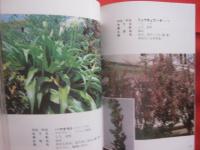 沖縄教材植物図鑑 　    ―　 路傍の草木　 ―  　     　    【沖縄・琉球・自然・植物】