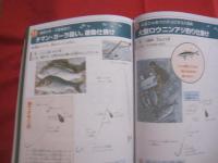 ☆楽しい防波堤釣り     初心者からベテランまで！   　防波堤ポイント ７４ 　  砂浜・護岸ポイント 　　 沖縄の防波堤釣り仕掛け １７     　　　      【沖縄・琉球・趣味・フィッシング・海洋レジャー】