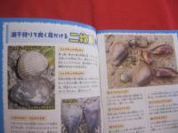 沖縄の潮干狩り 　　　　獲る　・　遊ぶ　・　観察する　！　　　　　改訂版　　　　　　　 【沖縄・琉球・自然・アウトドア・趣味・海】