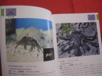 沖縄海中生物図鑑　   　  第１巻 ～ 第１０巻 　までの１０冊　　     新星図書シリーズ    　　    【沖縄・琉球・自然・海洋生物・図鑑】