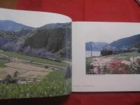 川根路の煙  　　大井川鉄道 　 　蒸気機関車復活２０周年記念 　 　写真集　　  川根路号写友会　  発行        　　　　 【鉄道・交通・文化・静岡県】