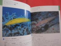 沖縄海中生物図鑑      第２巻      ◆魚          【沖縄・琉球・自然・海洋生物】