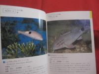 沖縄海中生物図鑑      第２巻      ◆魚          【沖縄・琉球・自然・海洋生物】
