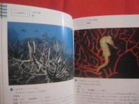 ☆★☆沖縄海中生物図鑑　　　　第２巻　　　　魚　　　　監修　　財団法人　　海中公園センター　　　　新星図書出版　　発行  　　　　　【沖縄・琉球・自然・海洋生物】