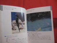 ☆★☆沖縄海中生物図鑑　　　　第２巻　　　　魚　　　　監修　　財団法人　　海中公園センター　　　　新星図書出版　　発行  　　　　　【沖縄・琉球・自然・海洋生物】