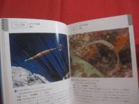 ☆★☆沖縄海中生物図鑑　　　　第２巻　　　　魚　　　　監修　　財団法人　　海中公園センター　　　　新星図書出版　　発行  　　　　　【沖縄・琉球・自然・海洋生物】