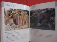 ☆★☆沖縄海中生物図鑑　　　　第２巻　　　　魚　　　　監修　　財団法人　　海中公園センター　　　　新星図書出版　　発行  　　　　　【沖縄・琉球・自然・海洋生物】