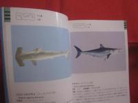 沖縄海中生物図鑑        第３巻        ◆魚             【沖縄・琉球・自然・海洋生物】
