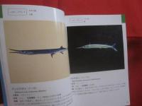 沖縄海中生物図鑑        第３巻        ◆魚             【沖縄・琉球・自然・海洋生物】