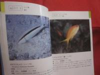 沖縄海中生物図鑑        第３巻        ◆魚             【沖縄・琉球・自然・海洋生物】