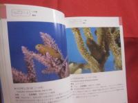 沖縄海中生物図鑑        第３巻        ◆魚             【沖縄・琉球・自然・海洋生物】