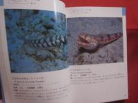 沖縄海中生物図鑑        第３巻        ◆魚             【沖縄・琉球・自然・海洋生物】