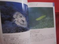 沖縄海中生物図鑑        第３巻        ◆魚             【沖縄・琉球・自然・海洋生物】