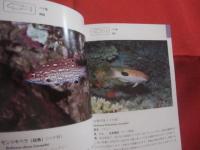 沖縄海中生物図鑑        第３巻        ◆魚             【沖縄・琉球・自然・海洋生物】