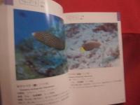 沖縄海中生物図鑑        第３巻        ◆魚             【沖縄・琉球・自然・海洋生物】