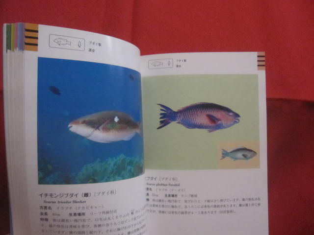 開店祝い 沖縄海中生物図鑑 サンゴ編 監修 財団法人海中公園センター