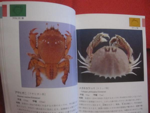 沖縄海中生物図鑑 第7巻 ◇甲殻類 （カニ） 【沖縄・琉球・自然・生物