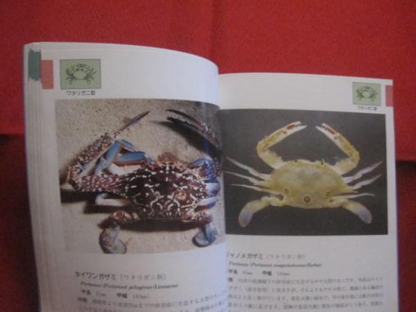 沖縄海中生物図鑑 第7巻 ◇甲殻類 （カニ） 【沖縄・琉球・自然・生物