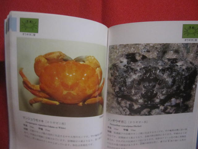 沖縄海中生物図鑑 第7巻 ◇甲殻類 (カニ) 【沖縄・琉球・自然 沖縄海中生物図鑑 第7巻 ◇甲殻類 (カニ) 【沖縄・琉球・自然