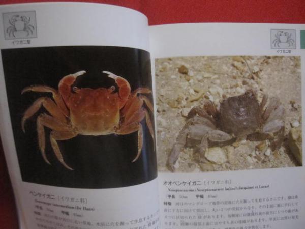 ☆沖縄海中生物図鑑 第7巻 ◇甲殻類 （カニ） 【沖縄・琉球