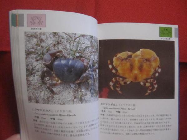 ☆沖縄海中生物図鑑 第7巻 ◇甲殻類 （カニ） 【沖縄・琉球