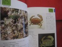 ☆沖縄海中生物図鑑   　    第７巻         ◆甲殻類   （カニ）  　         【沖縄・琉球・自然・生物・動物】