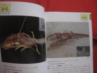 沖縄海中生物図鑑       　　  第８巻  　　        ◆甲殻類   （ エビ ・ ヤドカリ ）   　　           【沖縄・琉球・自然・生物・動物】