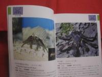 沖縄海中生物図鑑       　　  第８巻  　　        ◆甲殻類   （ エビ ・ ヤドカリ ）   　　           【沖縄・琉球・自然・生物・動物】