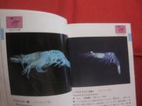 沖縄海中生物図鑑       　　  第８巻  　　        ◆甲殻類   （ エビ ・ ヤドカリ ）   　　           【沖縄・琉球・自然・生物・動物】