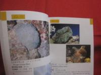 沖縄海中生物図鑑            第９巻            　サンゴ               【沖縄・琉球・自然・海洋生物・動物】