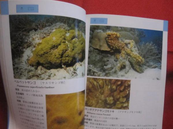 ☆沖縄海中生物図鑑 第9巻 サンゴ 【沖縄・琉球・自然・海洋