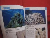 ☆沖縄海中生物図鑑            第９巻            　サンゴ            【沖縄・琉球・自然・海洋生物・動物】