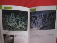 ☆沖縄海中生物図鑑            第９巻            　サンゴ            【沖縄・琉球・自然・海洋生物・動物】