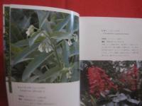 沖縄植物野外活用図鑑          第２巻         栽培植物             【沖縄・琉球・自然・生物・野草】