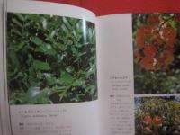 沖縄植物野外活用図鑑          第２巻         栽培植物             【沖縄・琉球・自然・生物・野草】